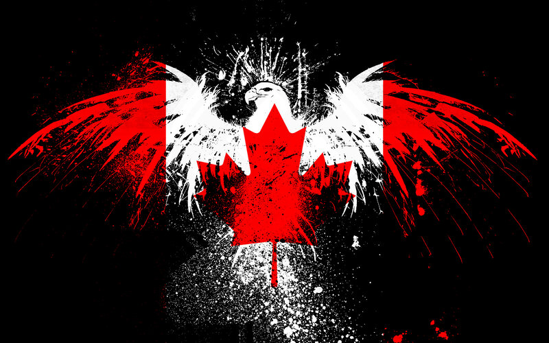 graffiti eagle with maple leaf