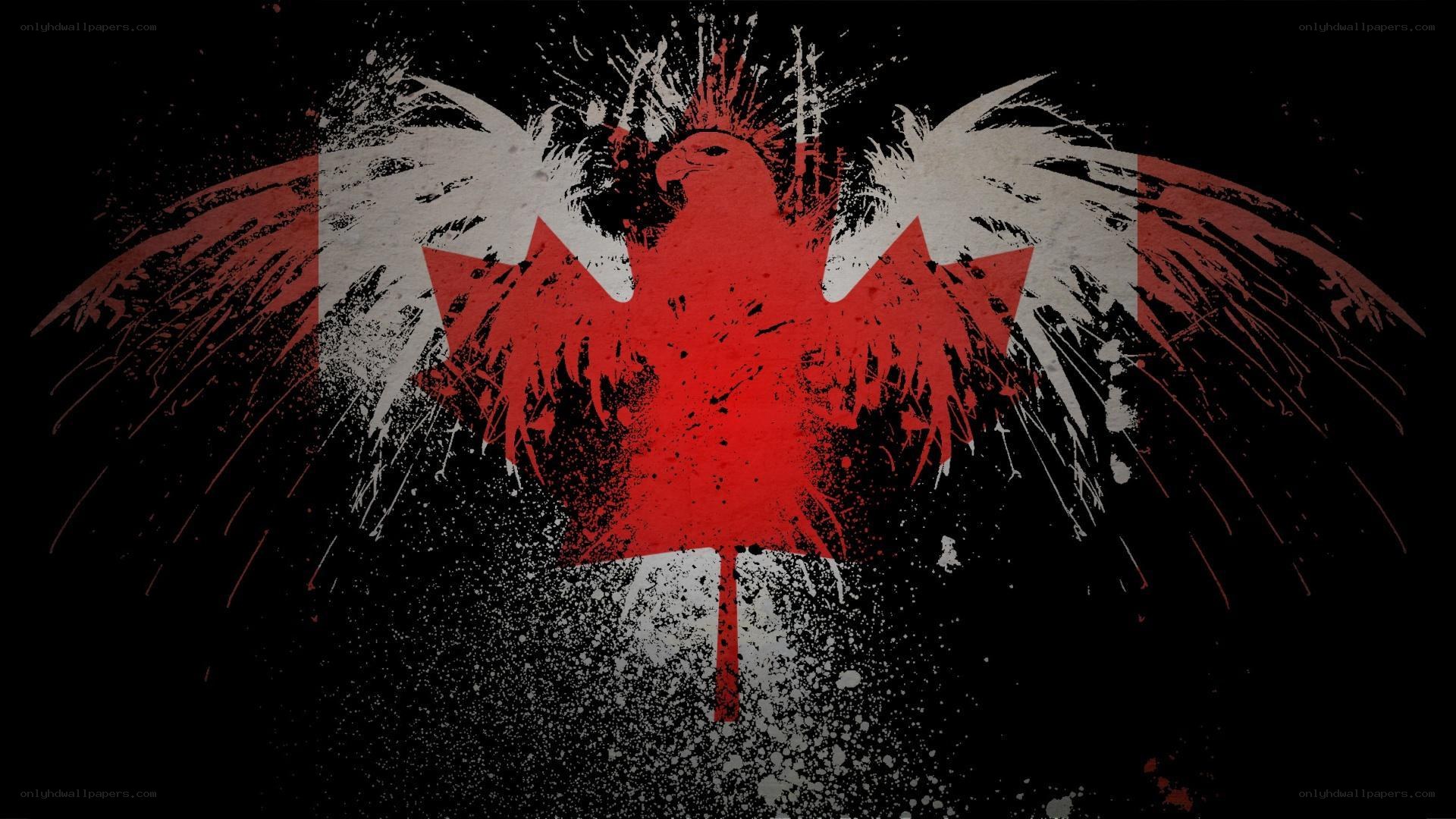 graffiti eagle with maple leaf
