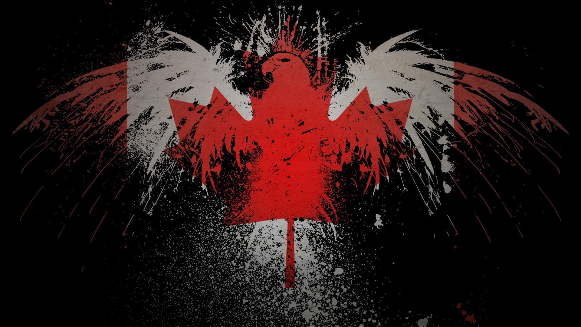 graffiti eagle with maple leaf