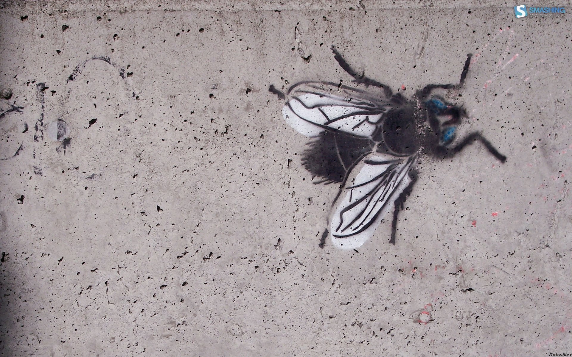 graffiti fly on concrete