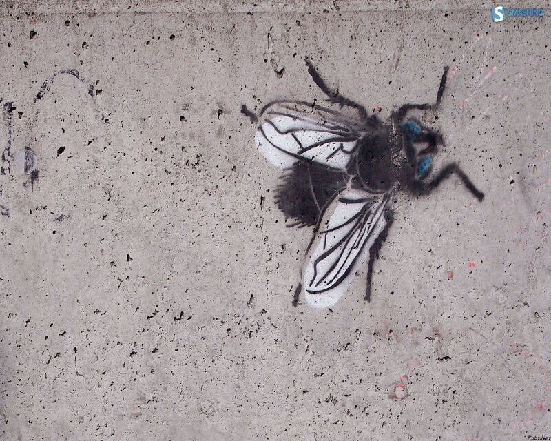 graffiti fly on concrete