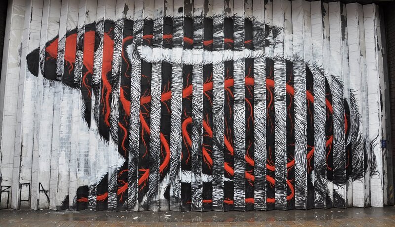 graffiti of a bear on a shutter