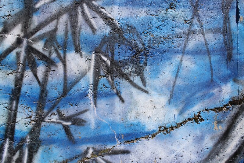 graffiti of bamboo on blue wall