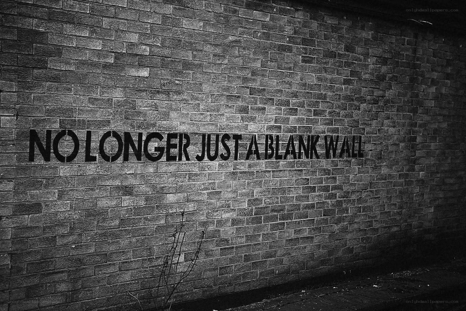 graffiti on a brick wall