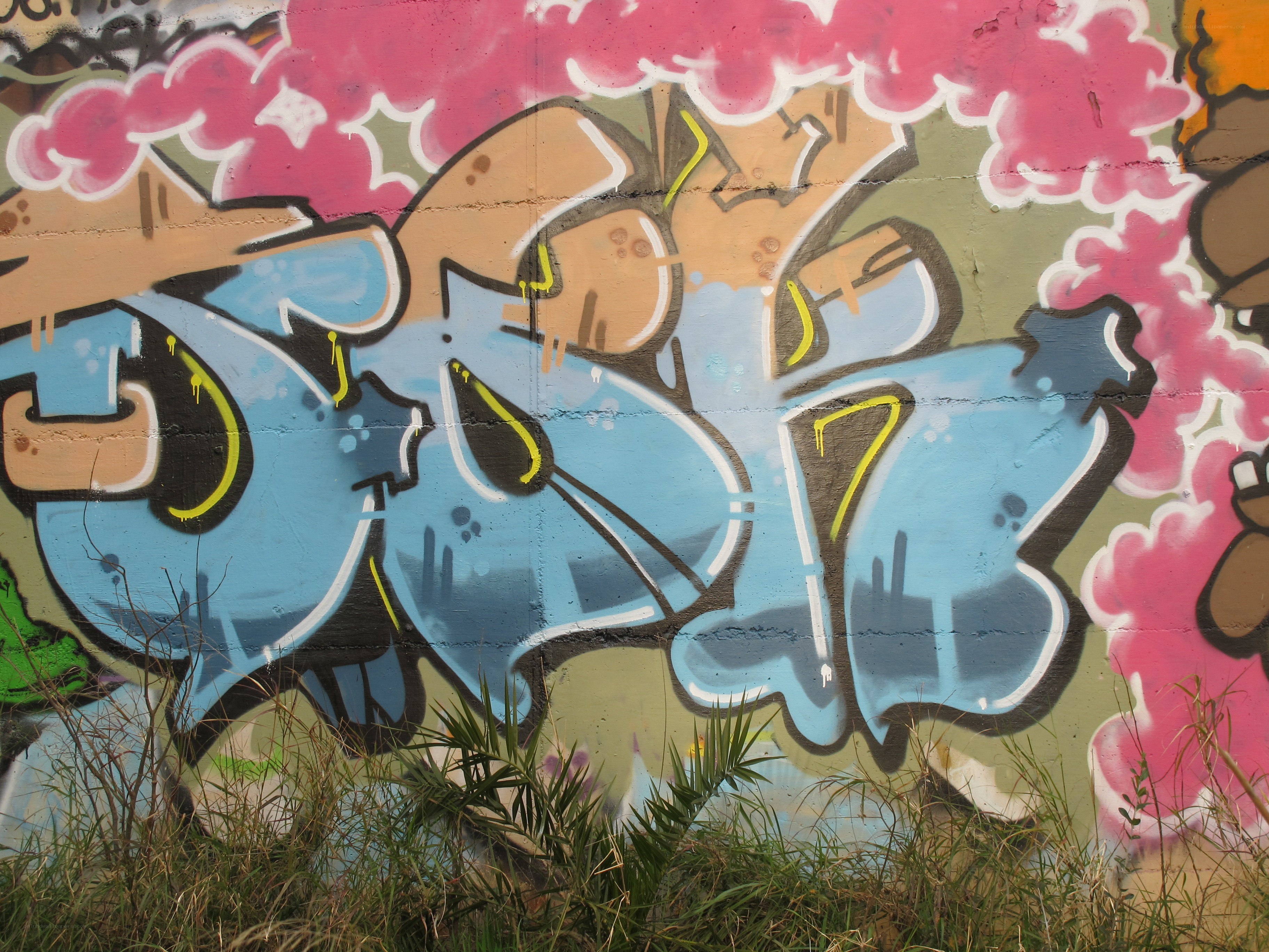 graffiti on a concrete wall
