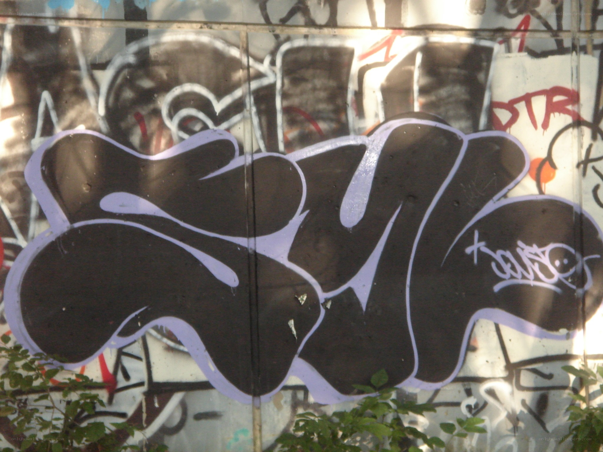 graffiti on a glass wall