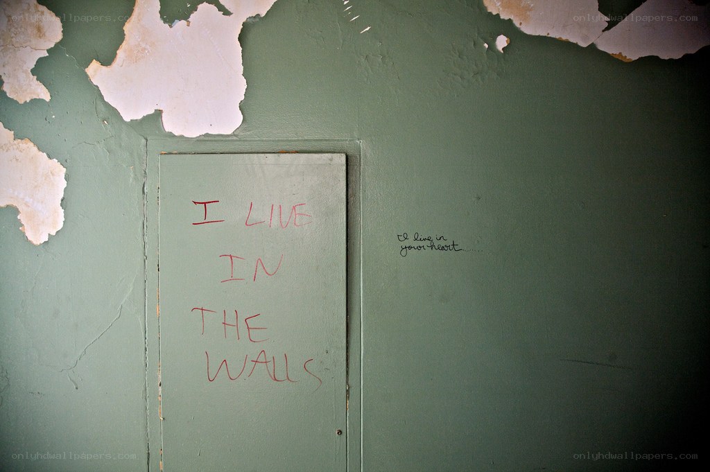 graffiti on a green wall