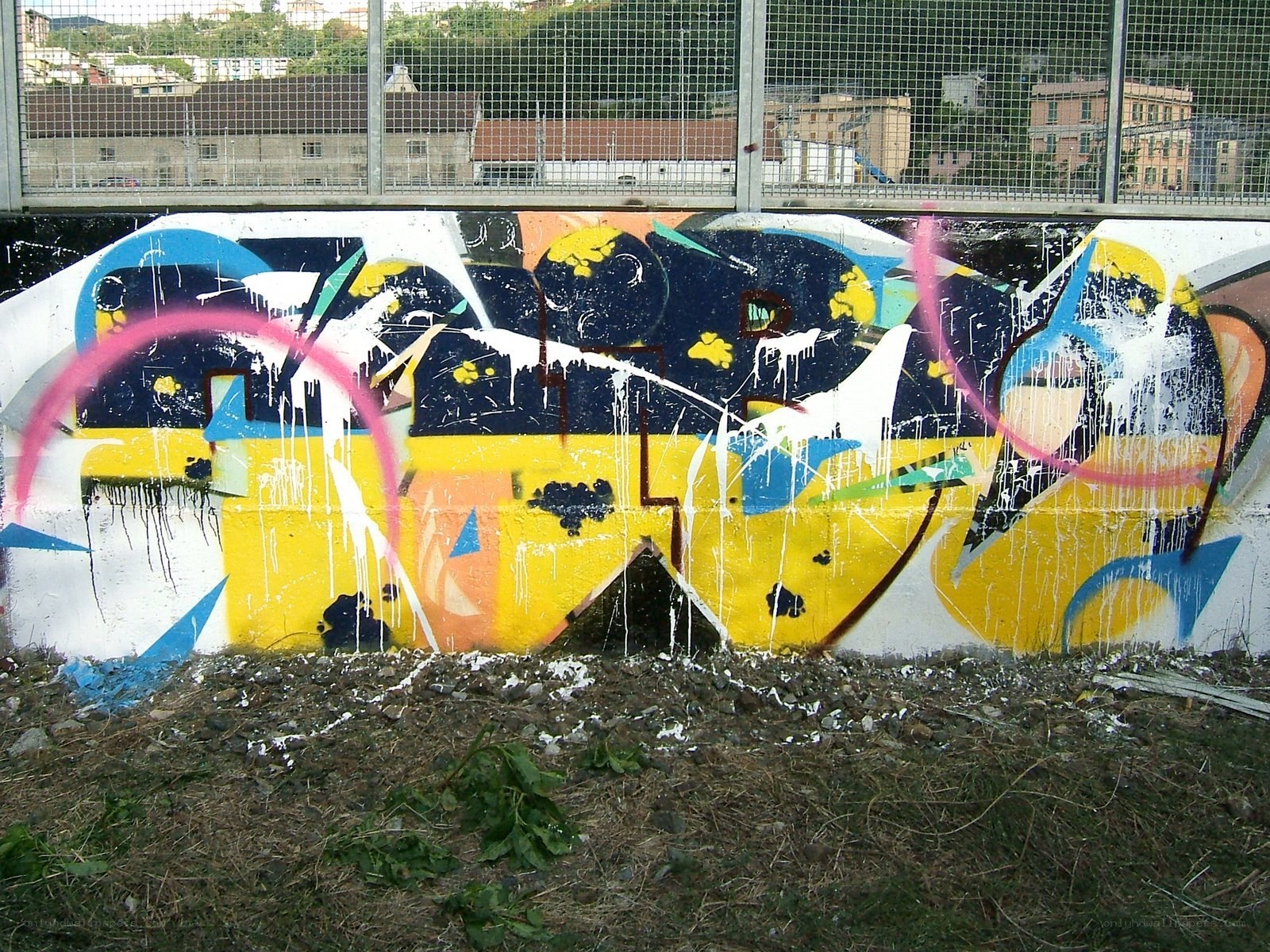 graffiti on a wall
