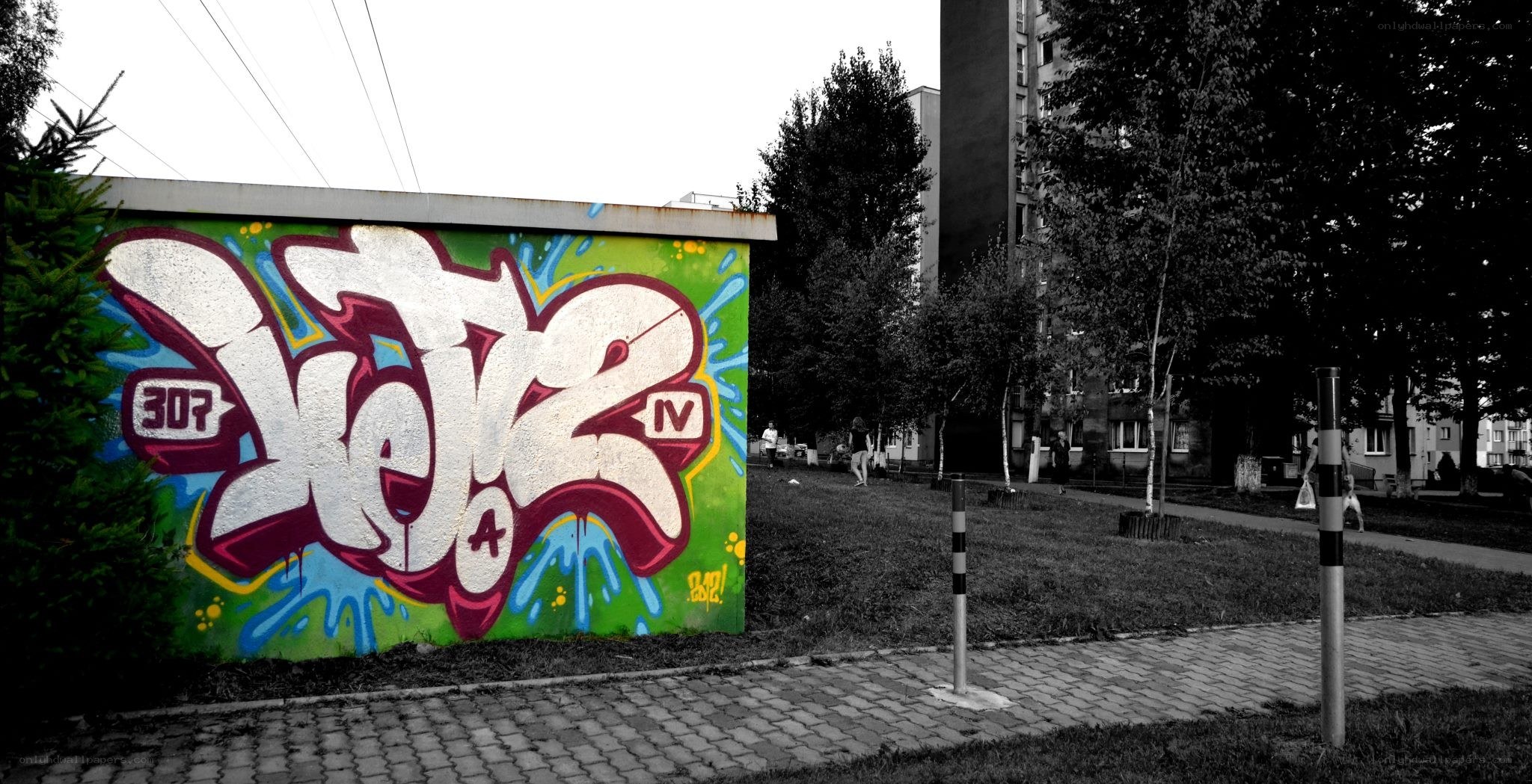graffiti on a wall in a park