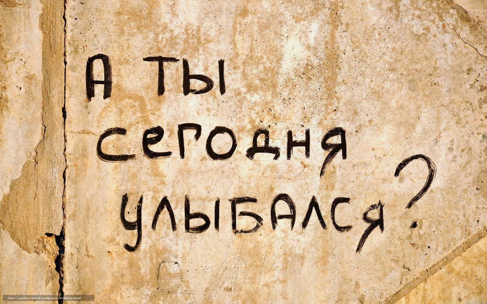 graffiti on a wall