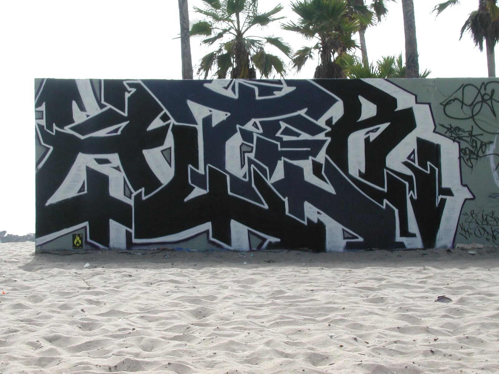 graffiti on beach wall