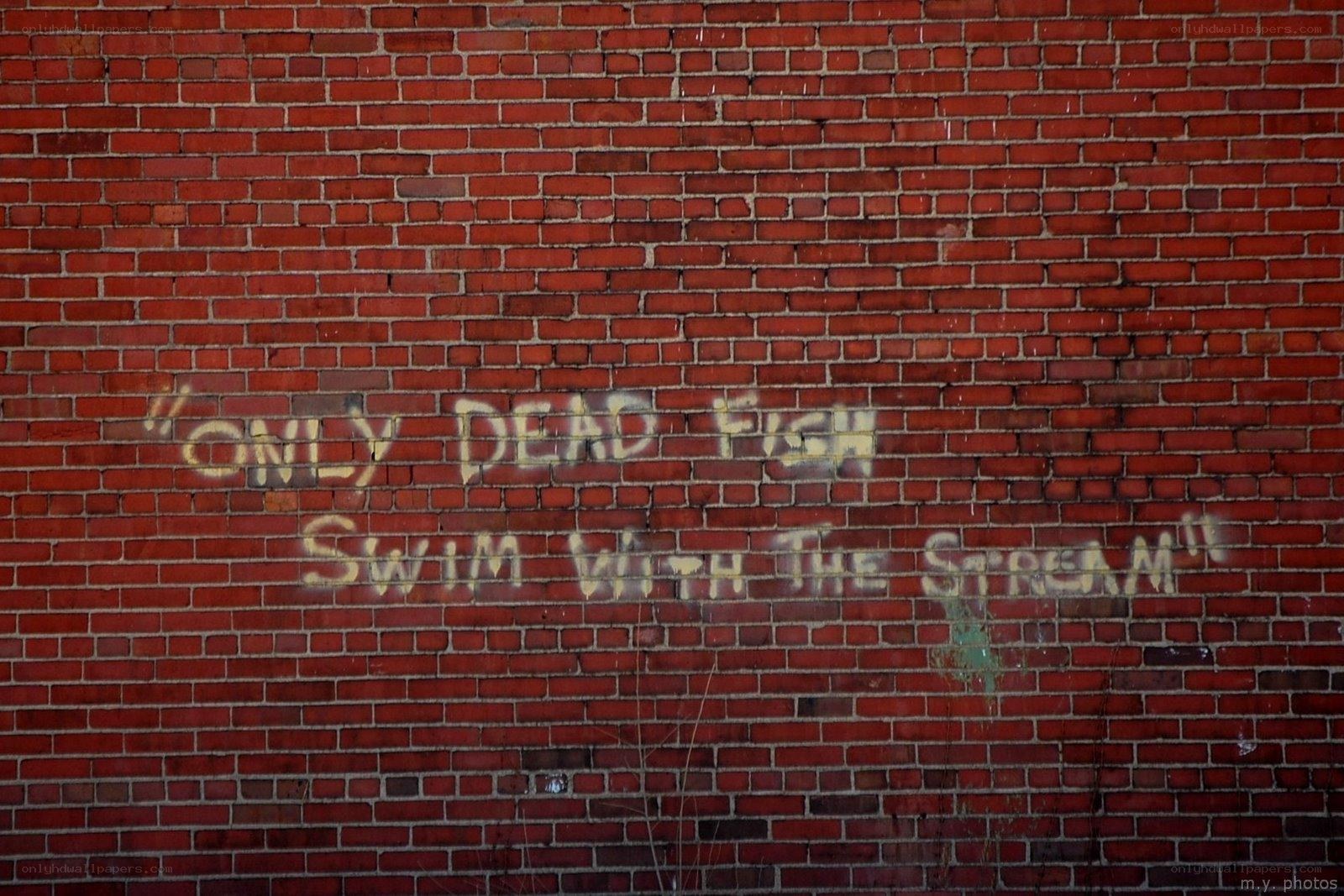 graffiti on brick wall