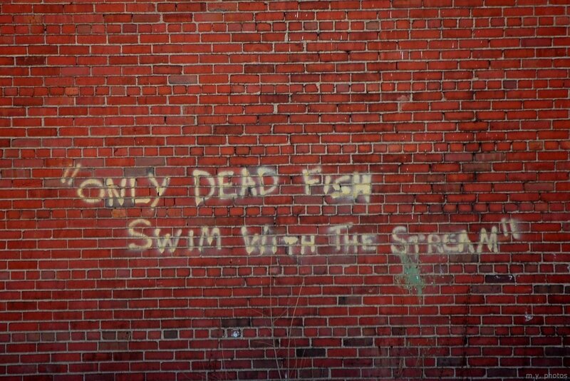 Graffiti on Brick Wall — Red, Neutral