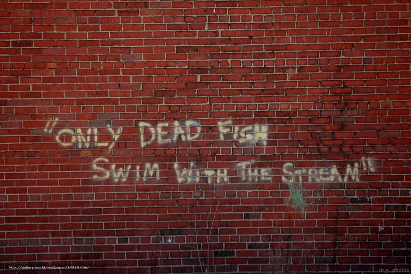 graffiti on brick wall