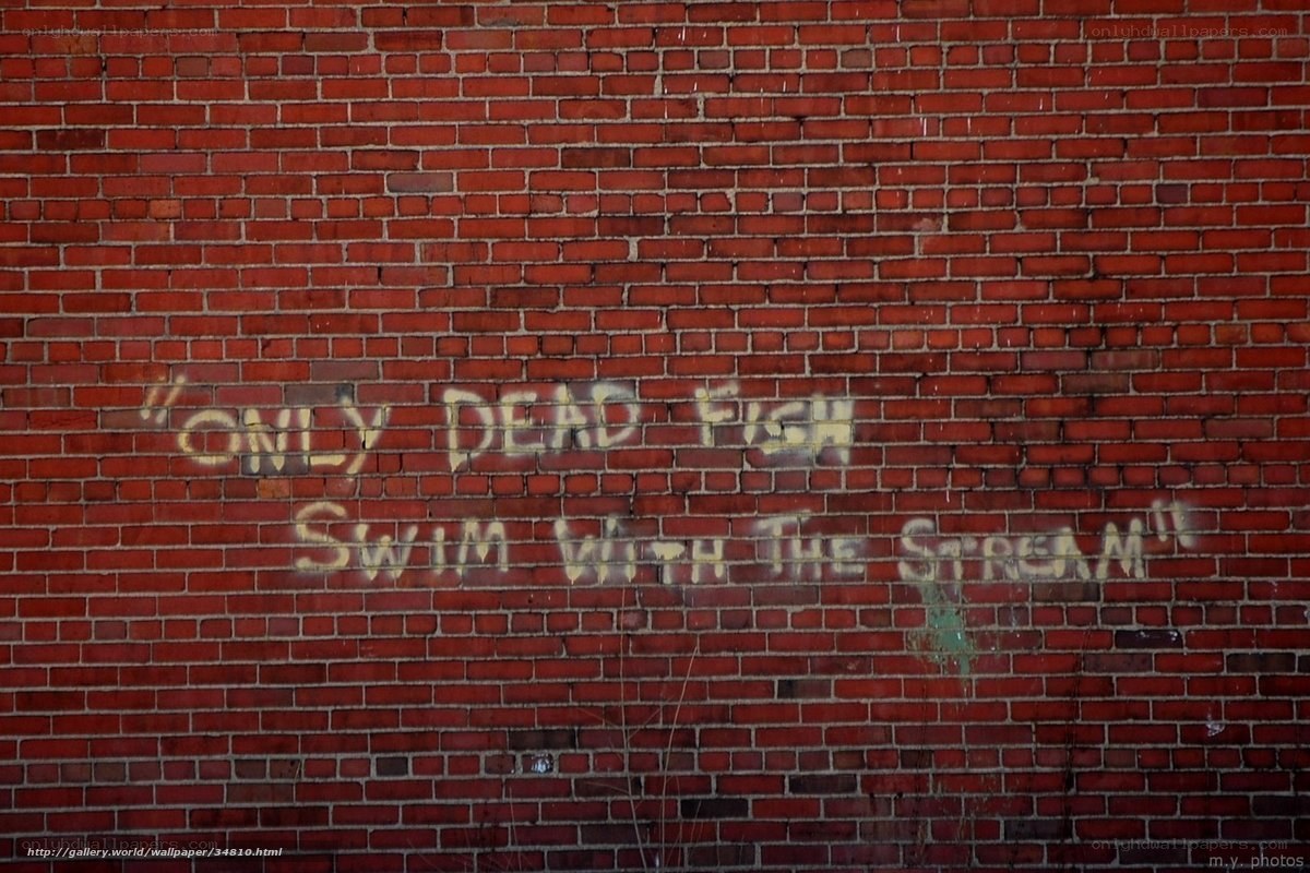graffiti on brick wall