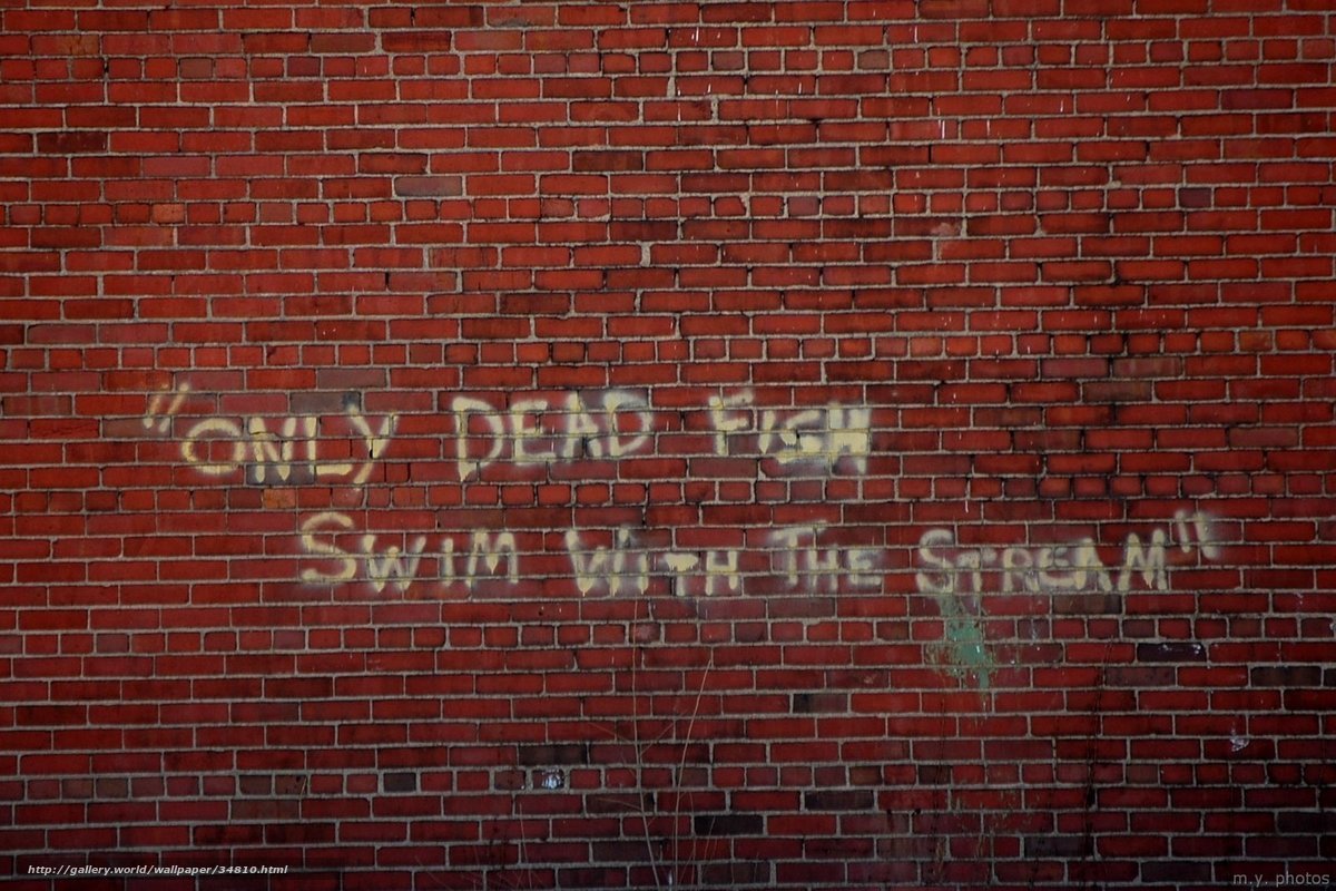 graffiti on brick wall