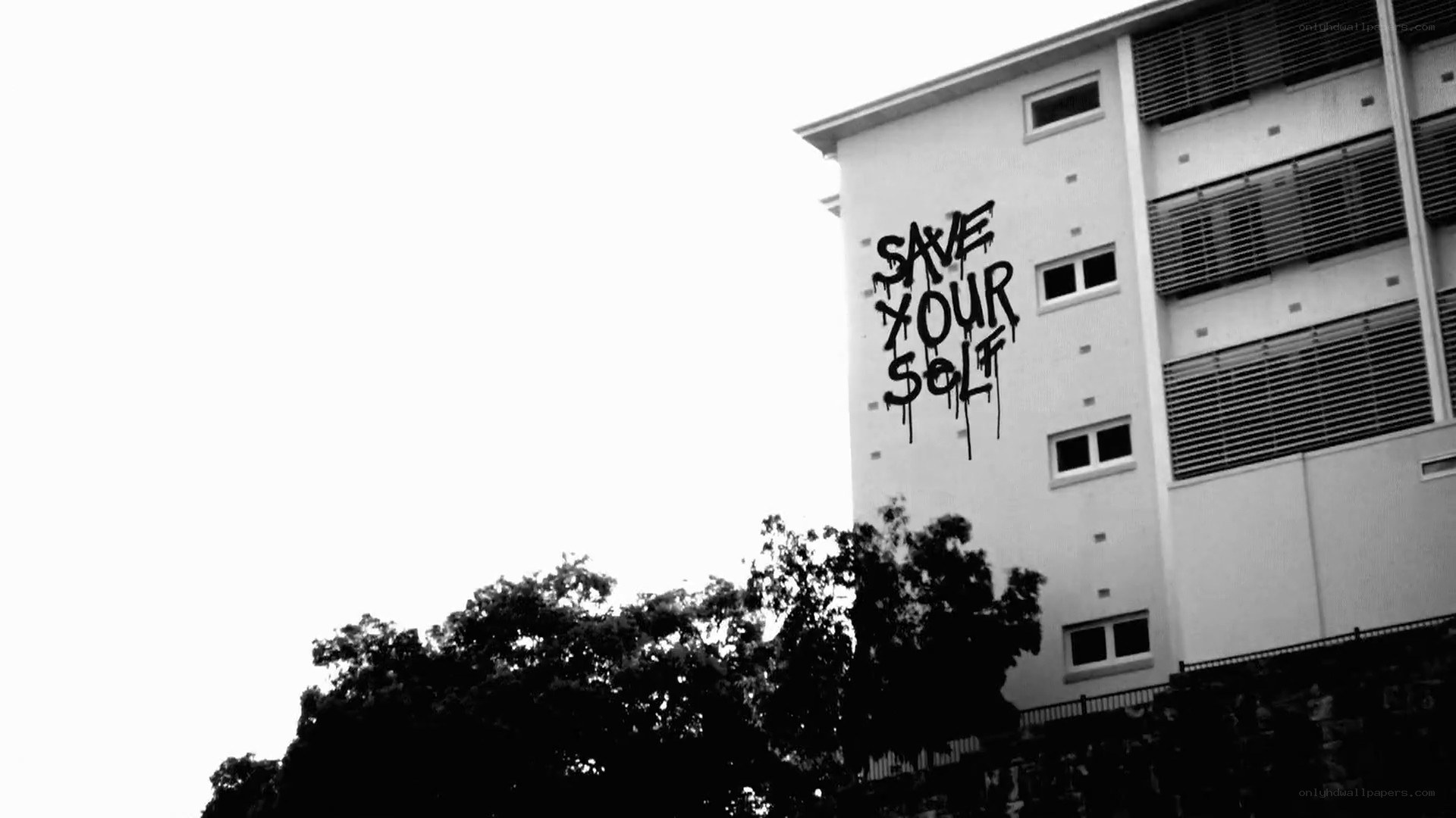 graffiti on building wall