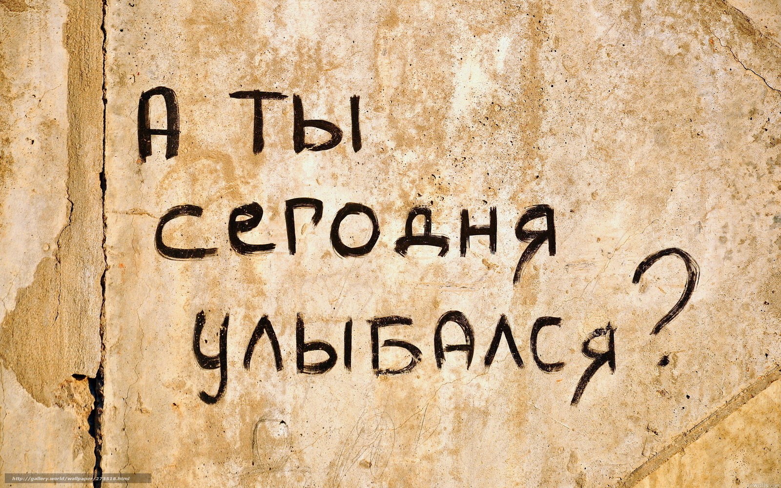 Graffiti question on wall