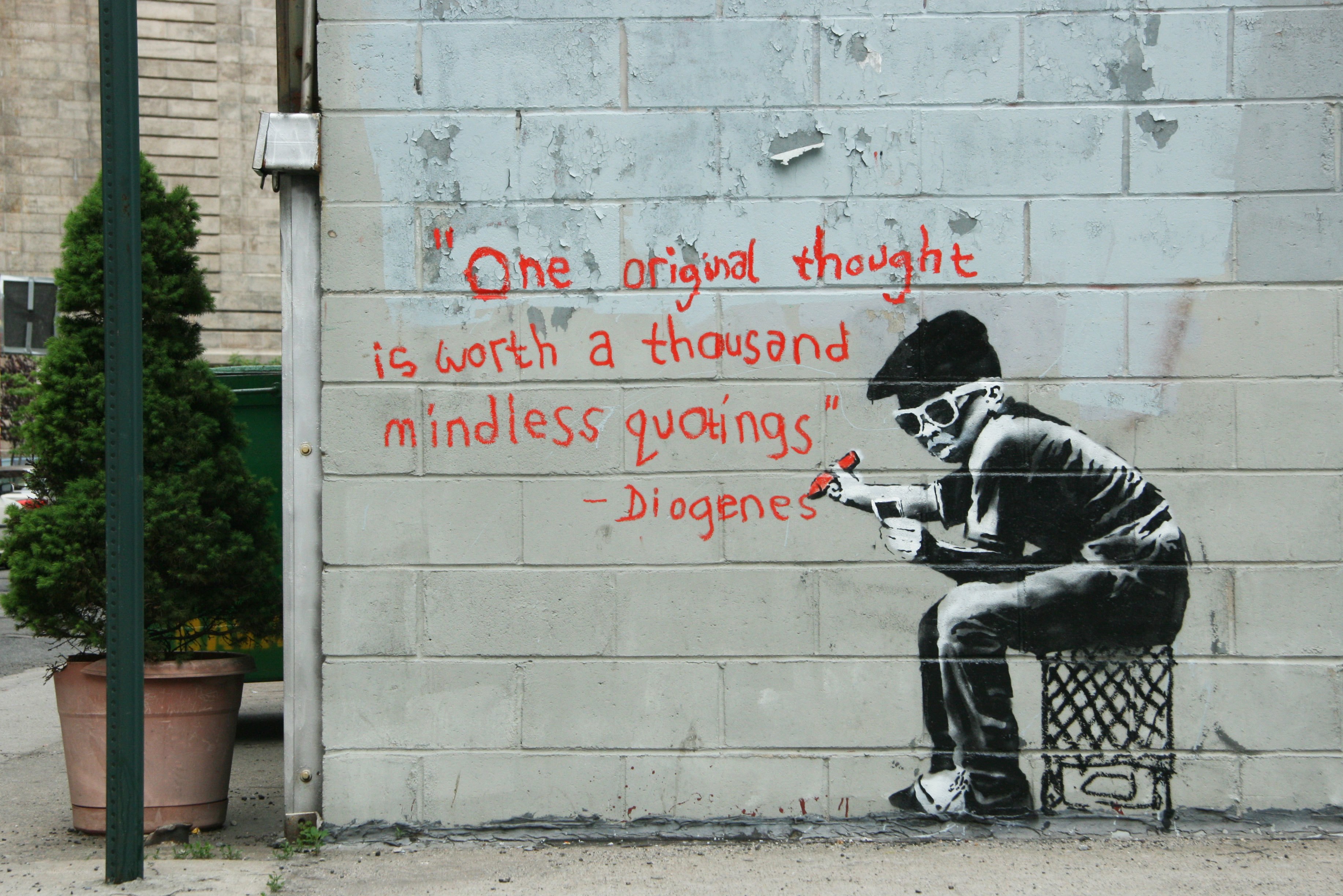 graffiti quote on wall