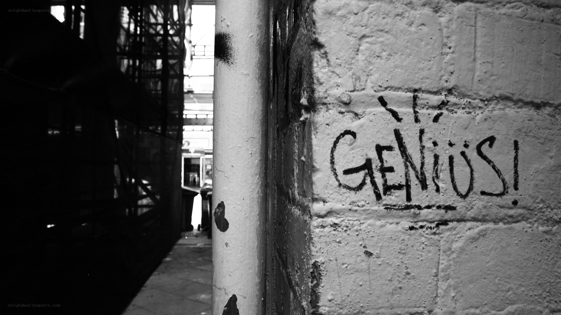 Graffiti reading GENIUS!