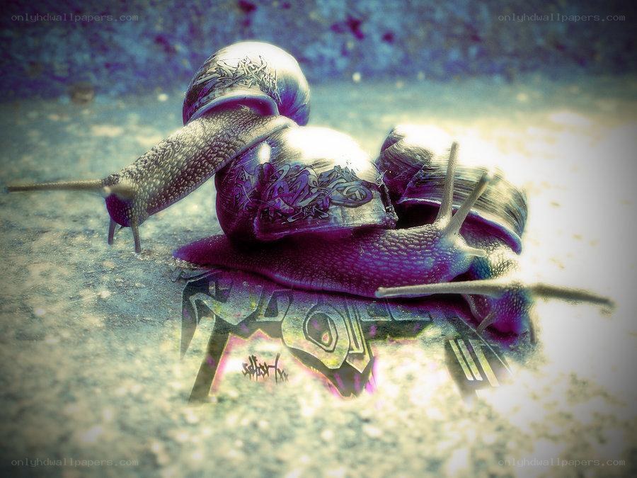 graffiti snails on concrete