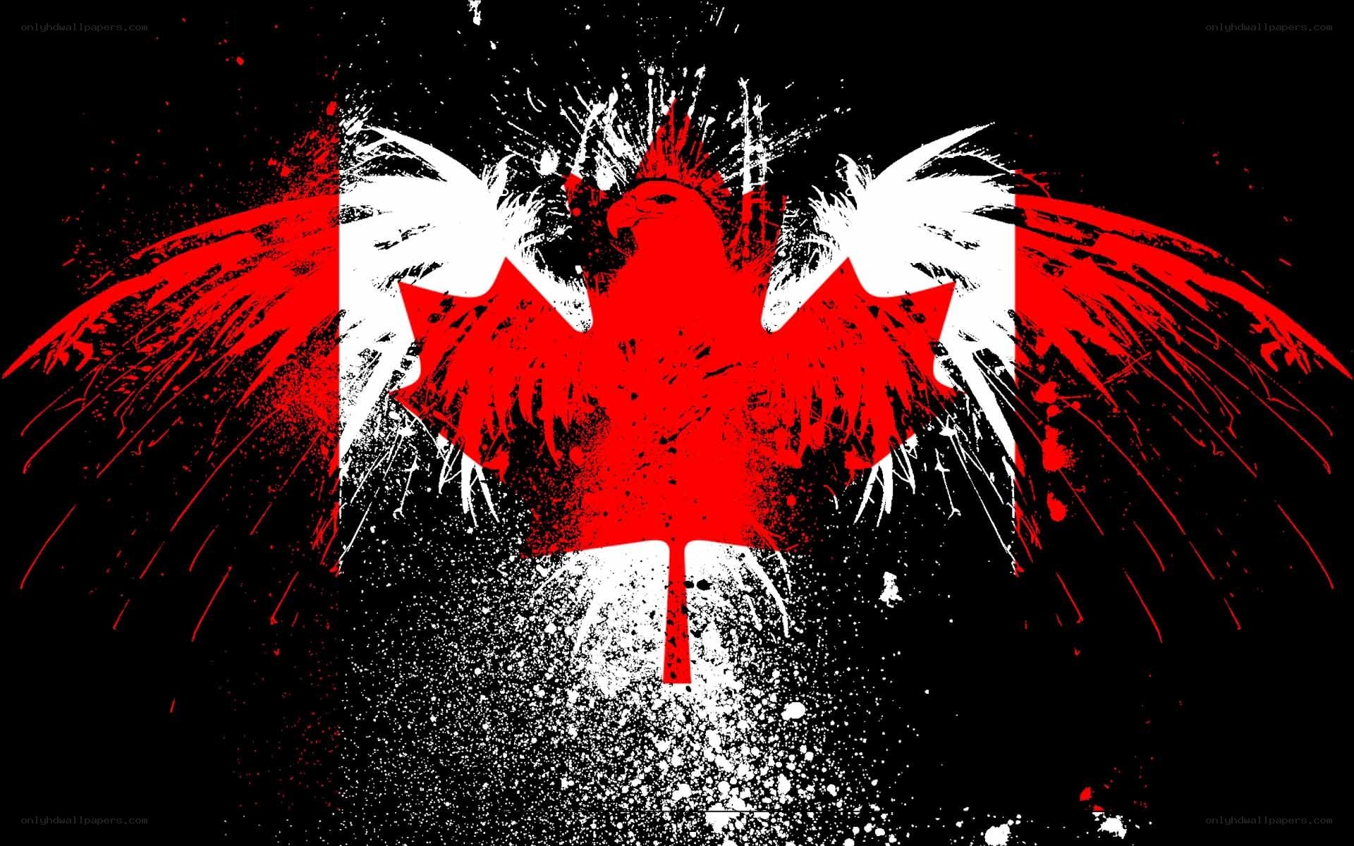 graffiti-style Canadian flag
