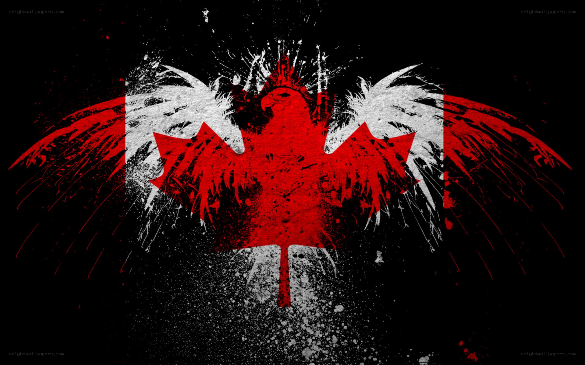 graffiti-style Canadian flag