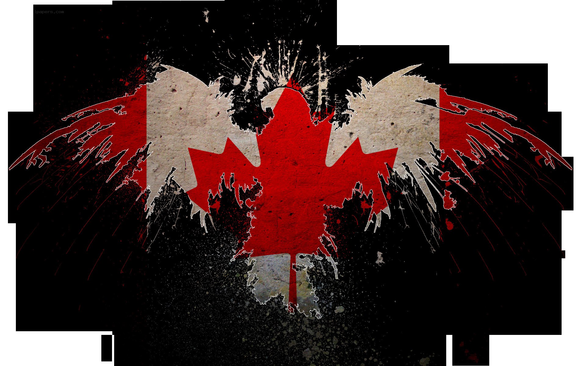graffiti-style Canadian flag