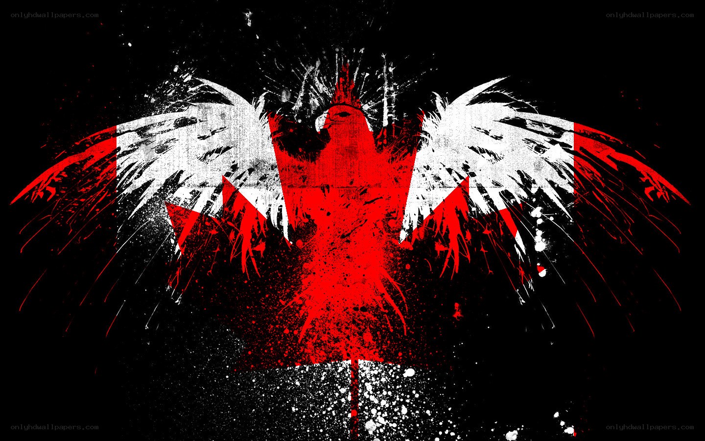graffiti-style Canadian flag