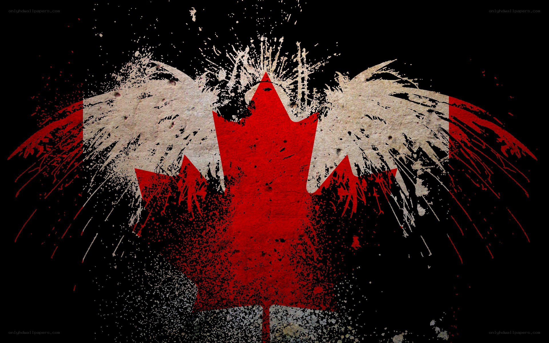 graffiti-style Canadian flag