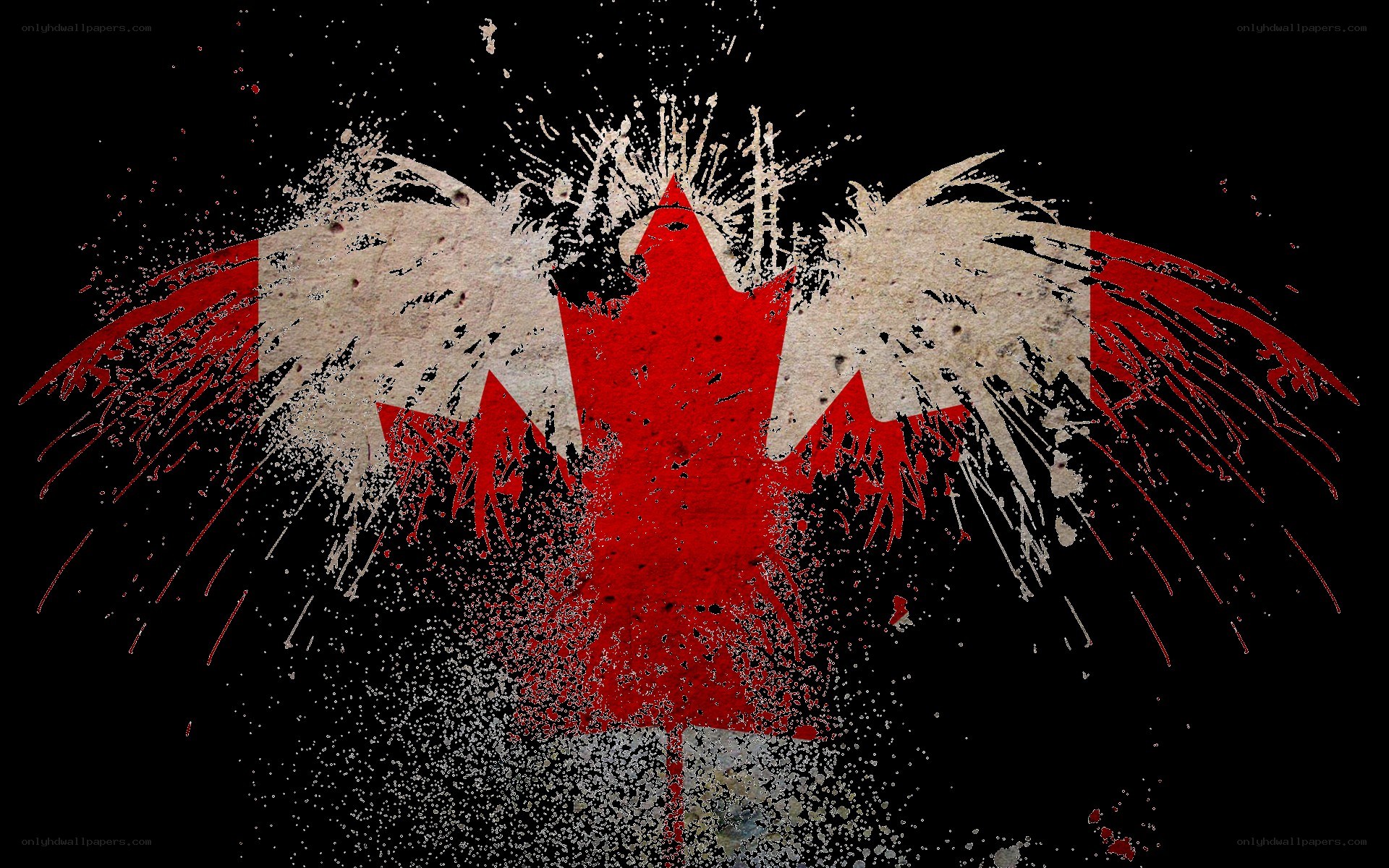 graffiti-style Canadian flag