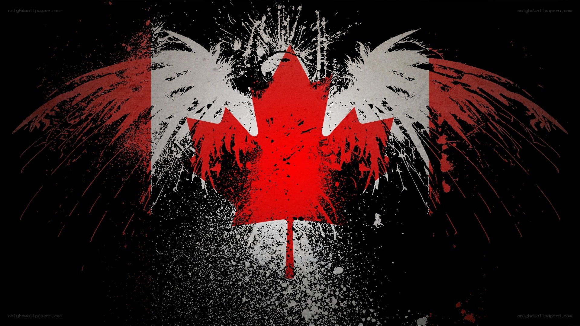 graffiti-style Canadian flag