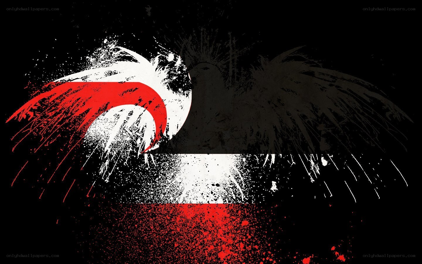 graffiti-style flag art
