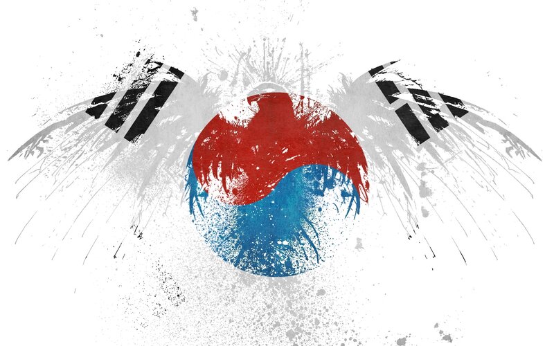 graffiti-style Korean flag