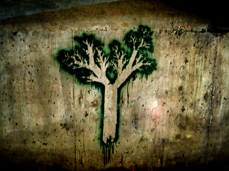 graffiti tree on concrete wall