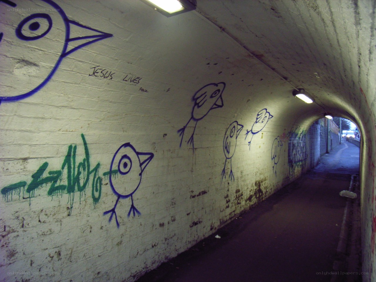 graffiti tunnel with birds