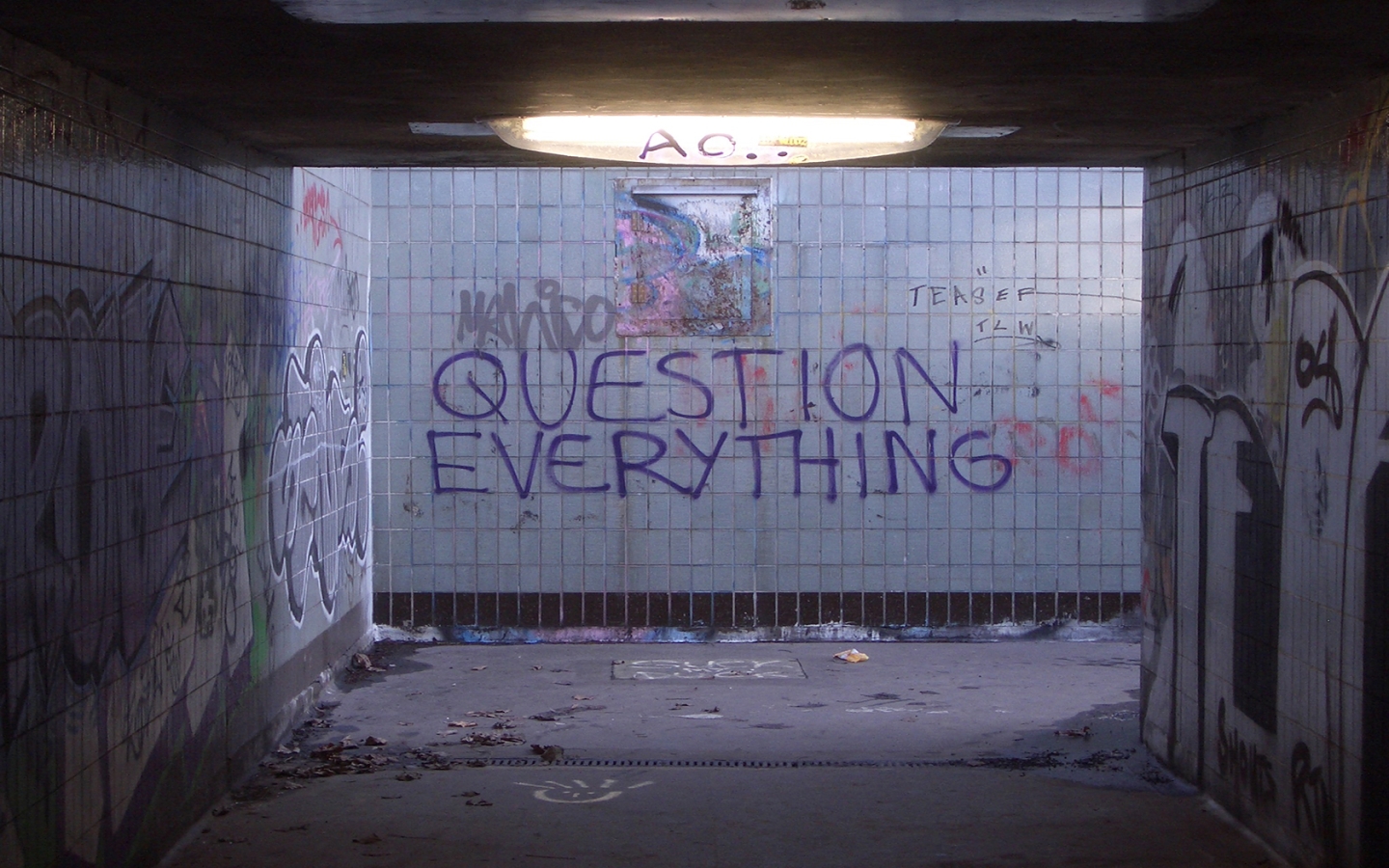graffiti tunnel with question everything