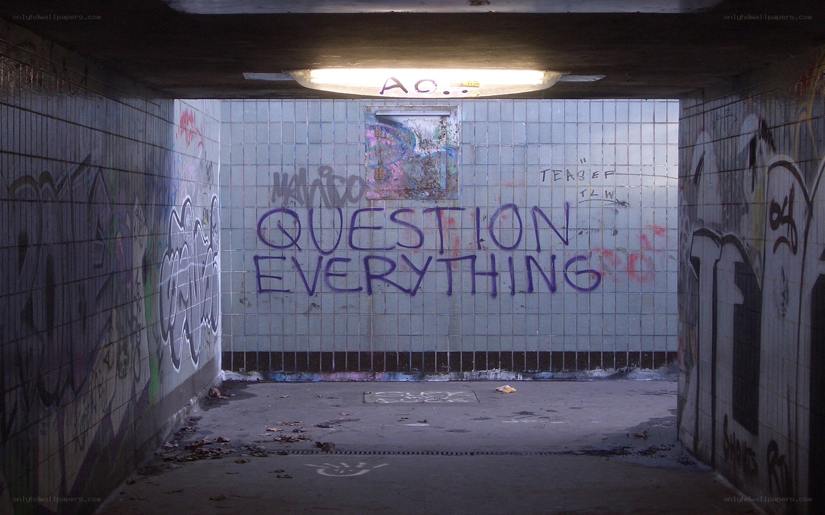 graffiti tunnel with question everything
