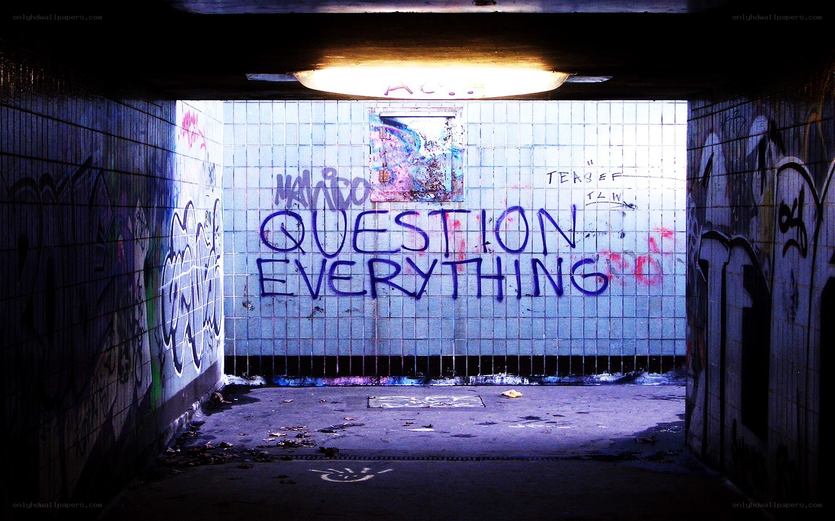 graffiti tunnel with question everything