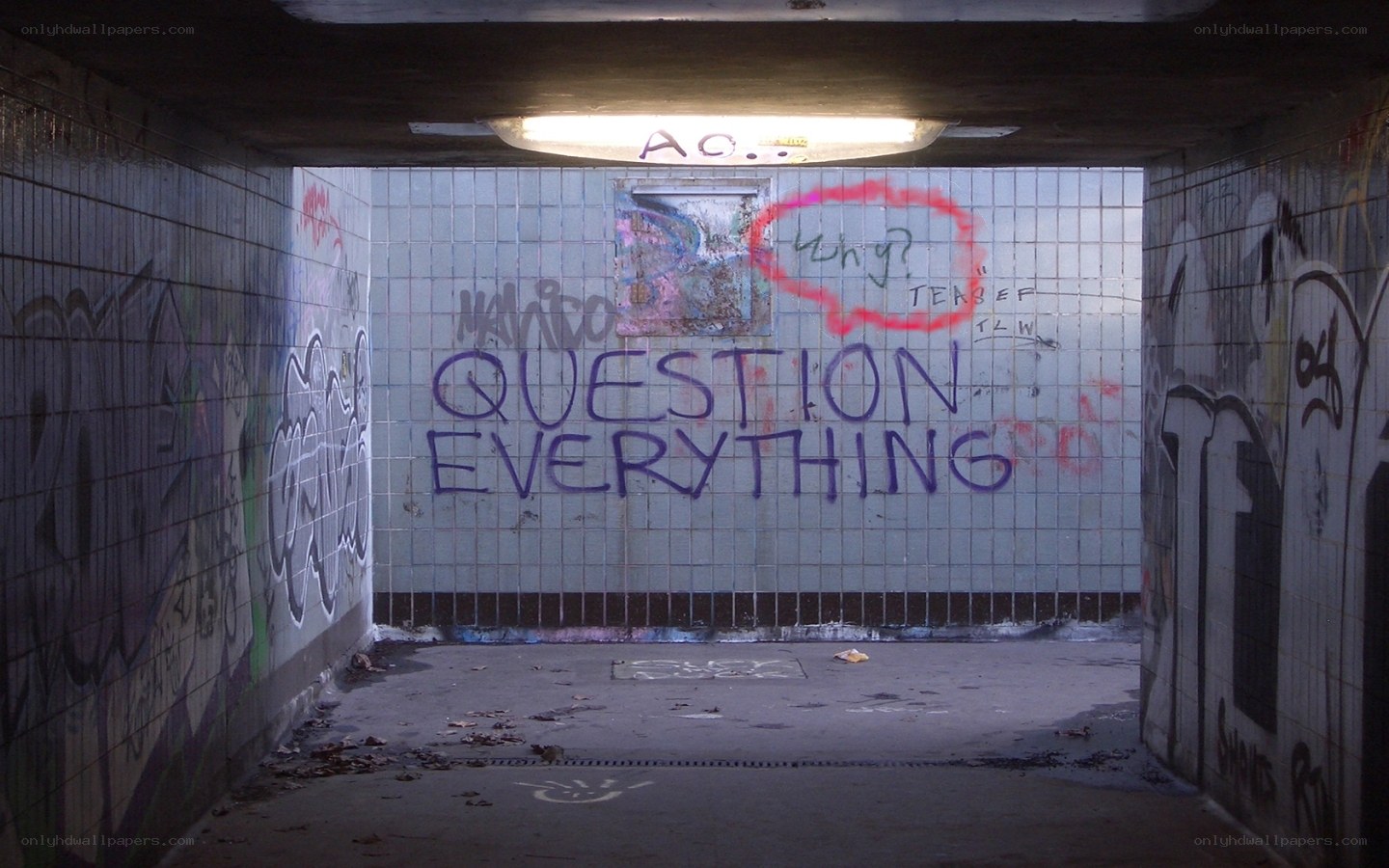graffiti tunnel with question everything