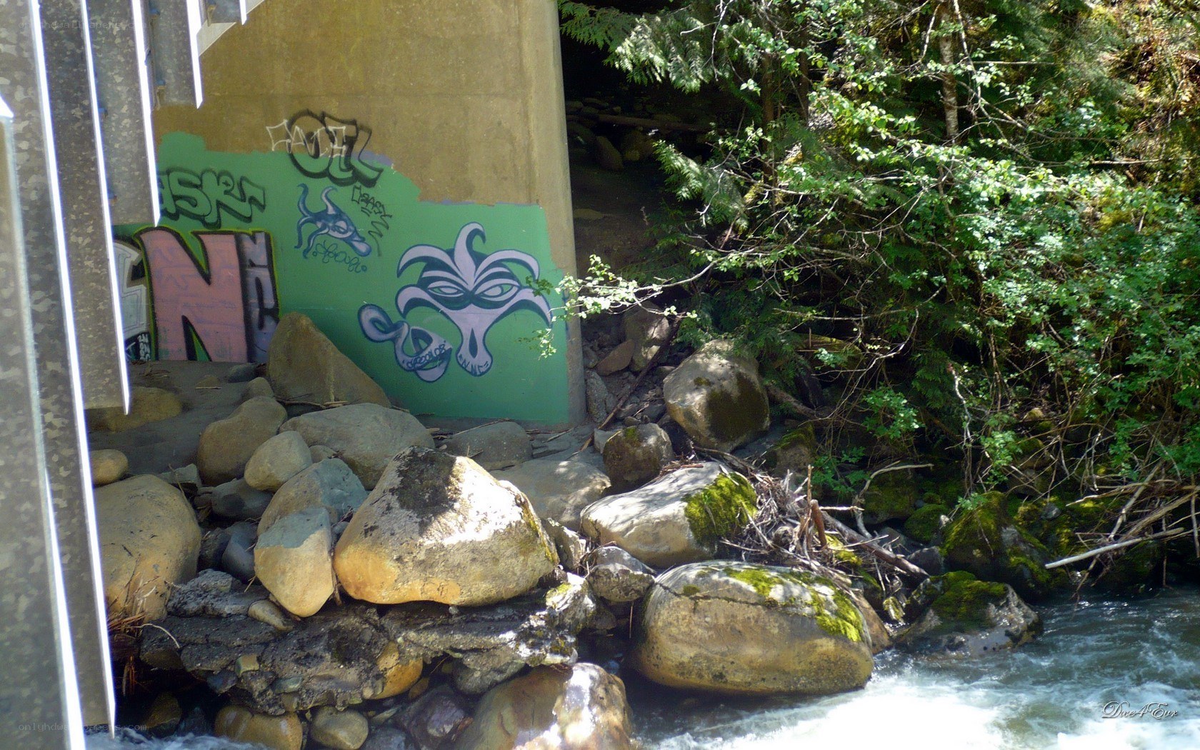 Graffiti under a bridge by a stream