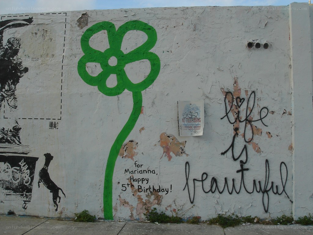 graffiti wall with green flower