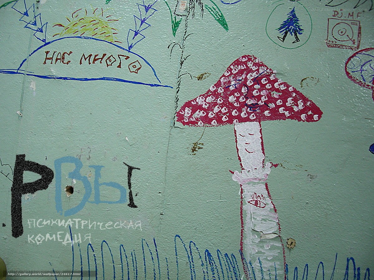 graffiti wall with mushroom drawing