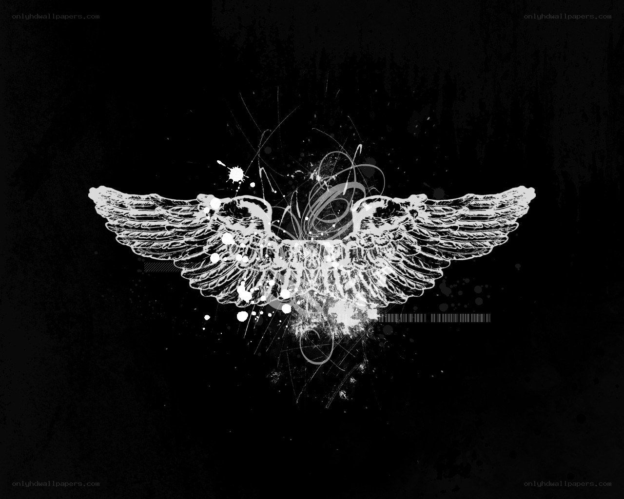 graffiti wings design