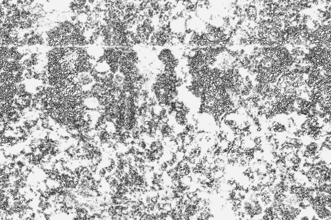 grainy black and white texture