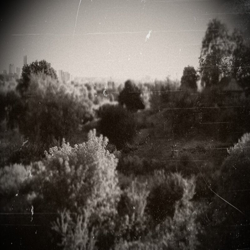 grainy cityscape with trees