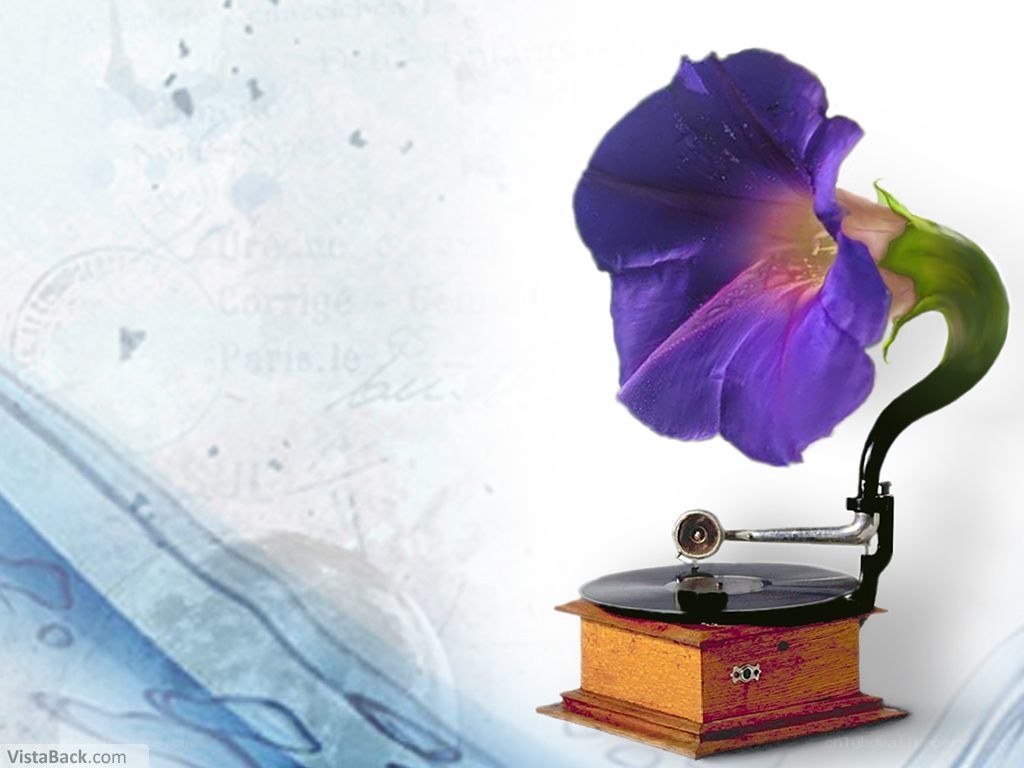 Gramophone with purple flower