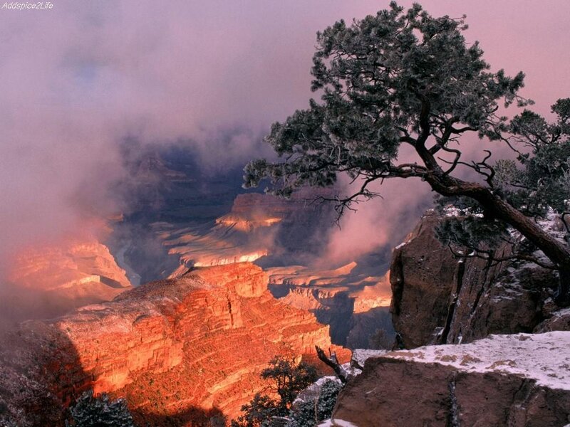 Grand Canyon at dawn with snow