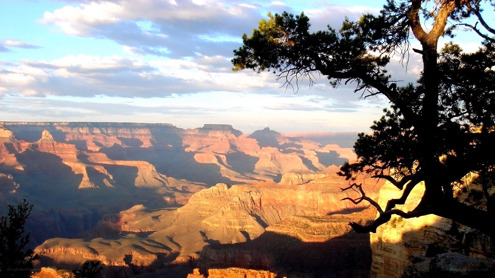 Grand Canyon at sunset