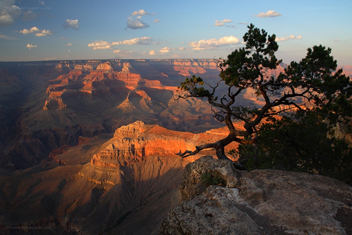 Grand Canyon at sunset